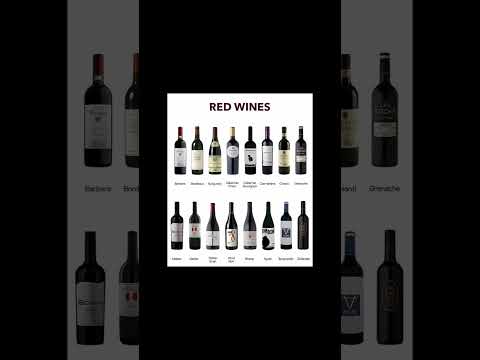 Types of Red Wines 🍷 Merlot, Cabernet, Pinot Noir & More | #RedWine #WineLovers #Shorts