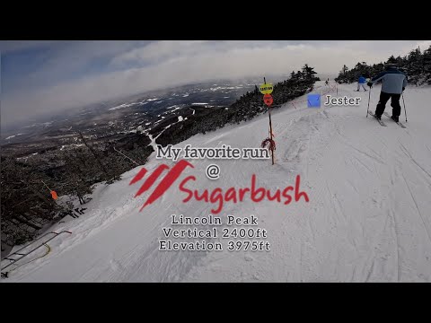 Sugarbush Resort | 🟦 Jester | One of my favourite trails