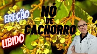 NÓ DE CACHORRO indico para Libido, Ereção Peniana, Ejaculação Precoce....