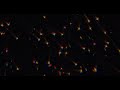 Sufjan Stevens - Fourth of July (April Base Version) [Official Music Video]