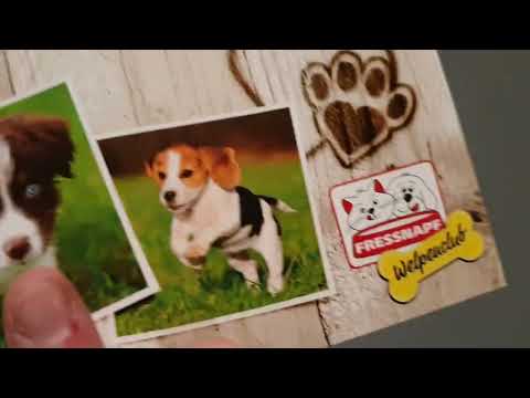 Willkommensgeschenk von Fressnapf für den Welpen
