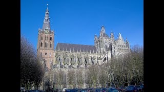 WK Archery 2019 ‘s Hertogenbosch part 2