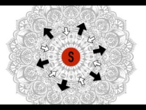 S. Maniscalco - Saving the Quantum : How to make friends with the Environment