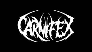 CARNIFEX - Last Words (vocal cover)