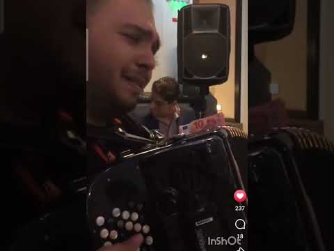 Vlada sile kraljj mikica tomin milan sasin 2025