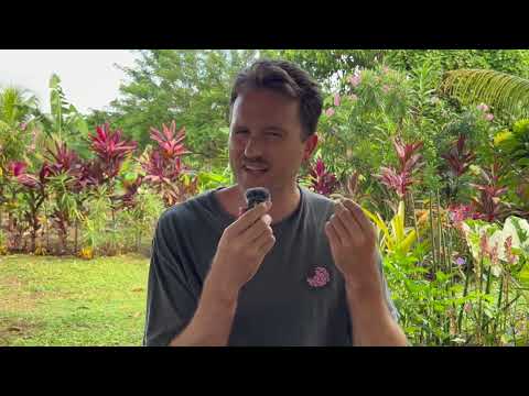 Dominica: The Caribbean's Most Boring Country