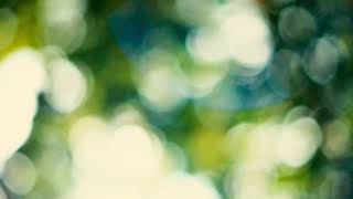 Ambient Focus cover