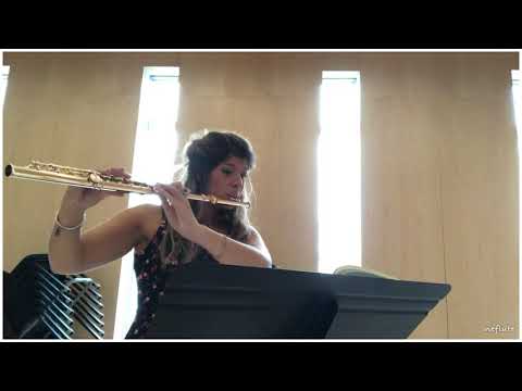 E. Köhler Flute Etudes Op. 33 Book #1 #6 Allegro