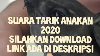 Download lagu Tarik Anakan 2020, Link ada di Deskripsi silahkan download mp3 Download lagu Tarik Anakan 2020, Link ada di Deskripsi silahkan download mp3