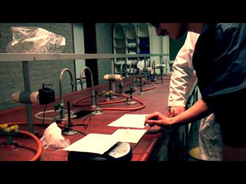 Chrysostomos - 2014/15 - 6WeWib - SMCB