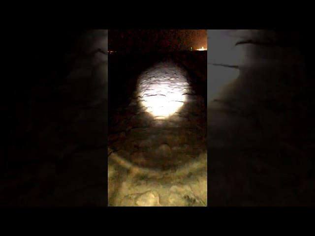 كشاف شحن يو اس بي ذهبي