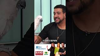 Quais Aves São Psitacídeos? Dr. Alex Explica na Band Mulher