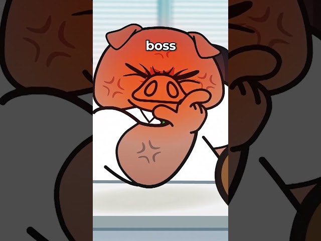 Vídeo relacionado con The Aggretsuko Guide to Office Life: (sanrio Book, Red Panda Comic Character, Kawaii Gift, Quirky Humor for Animal Lovers)
