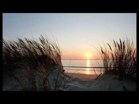 Gabonic - Progressive Psytrance Summer Mix 2019