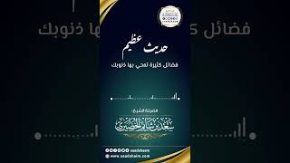 فضائل كثيرة تمحي بها ذنوبك - الشيخ سعد شايم image