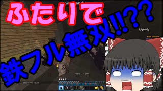【anni】あないあれーしょん!!　二人で鉄フル無双!!?【minecraft】