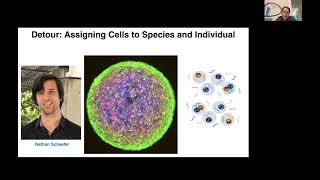 Alex Pollen: Interspecies Ventral Midbrain Organoids Reveal Human-Specific Molecular Features