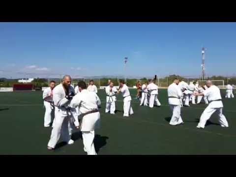Karate Kyokushin. Combates con los mejores karatekas del momento