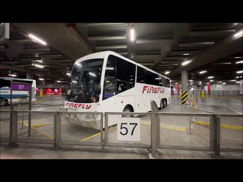 【オーストラリア】 メルボルンからアデレードへの夜行バス　ファイアフライエクスプレスバス　Firefly Express Bus from Melbourne to Adelaide　(2024.9)