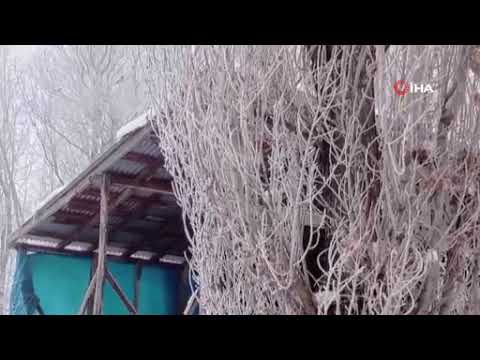 Tekman eksi 24,9 ile dondu