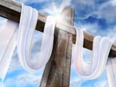 Thumbnail for The Perfect Tree video