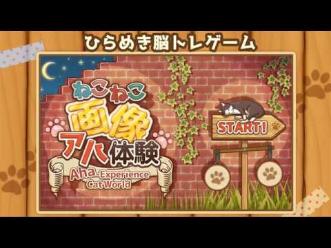 Aha-Experience Cat World - Wha Video