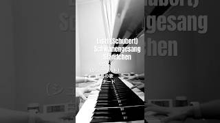 Download lagu 【今日の練習】リスト : 白鳥の歌(シューベルト) セレナード S.560 R.245 Liszt : Schwanengesang (Schubert)Ständchen #piano #ピアノ演奏 mp3 Download lagu 【今日の練習】リスト : 白鳥の歌(シューベルト) セレナード S.560 R.245 Liszt : Schwanengesang (Schubert)Ständchen #piano #ピアノ演奏 mp3