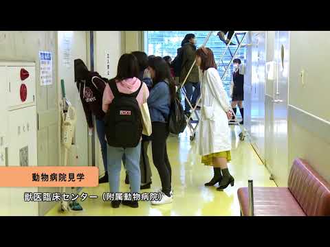 麻布大学 ミニ・オープンキャンパス2018年・春