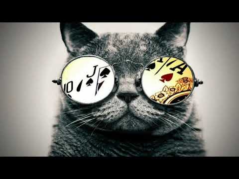 Thala Ajith Golden Words | Valimai | Mr. Cat