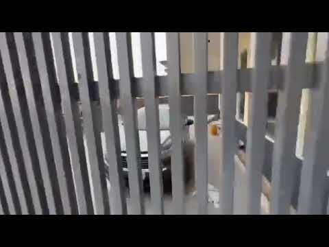 Luxury 2-Bedroom, Mini Flat & Studio Apartments for Rent in Parkview Estate, Ikoyi