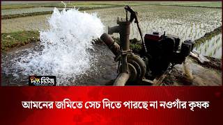 আমনের জমিতে সেচ দিতে পারছে না নওগাঁর কৃষক | Naogaon Farmer | Deepto News