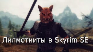 Как запустить мод на расу лилмотиитов в Skyrim Special Edition