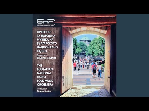 Петлите пеят (The Roosters Sing)