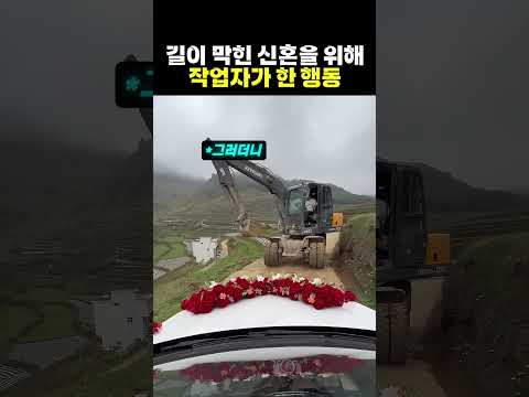 신혼을 위해 희생한 포크레인 작업자❤️