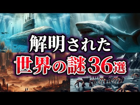 ロビンの好きな食べ物は何ですか?彼らは冬に何を食べますか？彼らが愛する6つのこと！  庭園