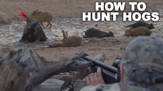 How to KILL HOGS like a MASTER | Hog Hunting 101