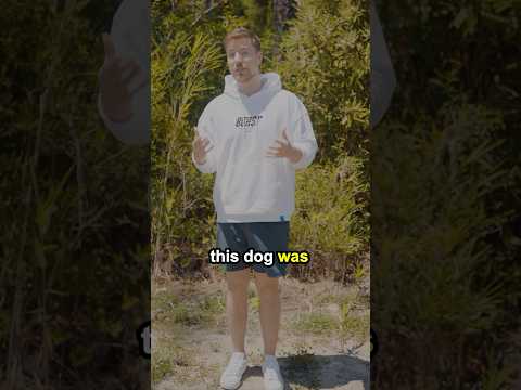 We Rescued A Wolf!