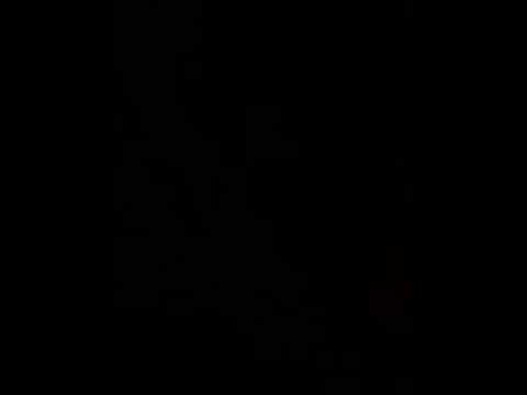 50293653551  1ACAD314 4D69 4858 BBC8 52083A3E1F2F