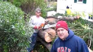 preview picture of video 'Hurricane Sandy clean up with a Stihl MS290 Farm Boss in Belmar NJ'
