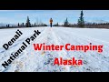 Winter Camping Denali National Park, Alaska