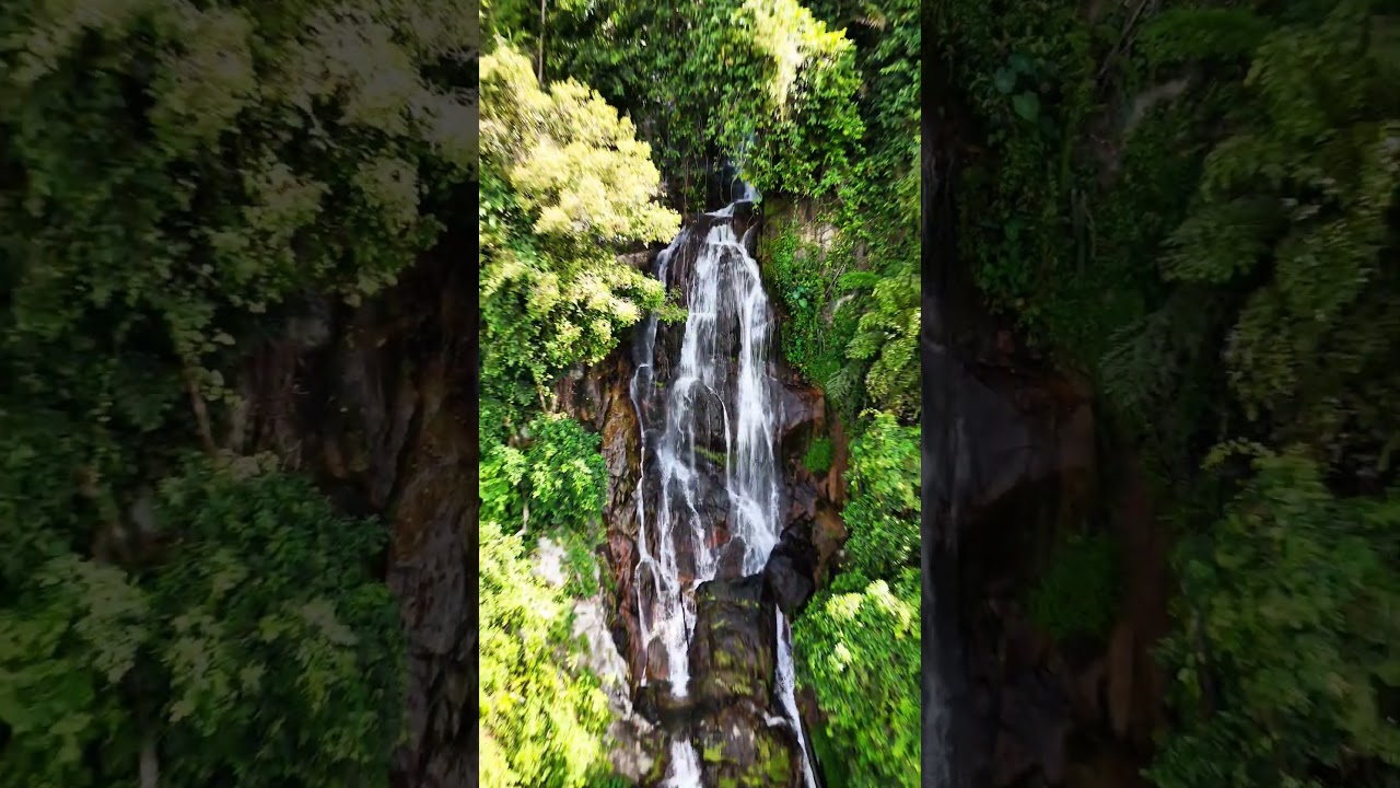 YouTube Short thumbnail