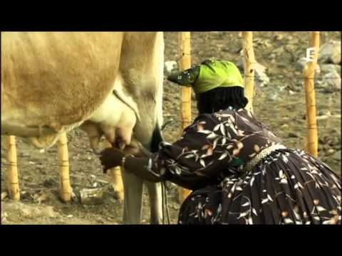 download lagu mp3 mp4 Le Dsert Du Namib, download lagu Le Dsert Du Namib gratis, unduh video klip Le Dsert Du Namib