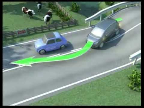 Segnaletica orizzontale. Italian driving school in Pidgin.