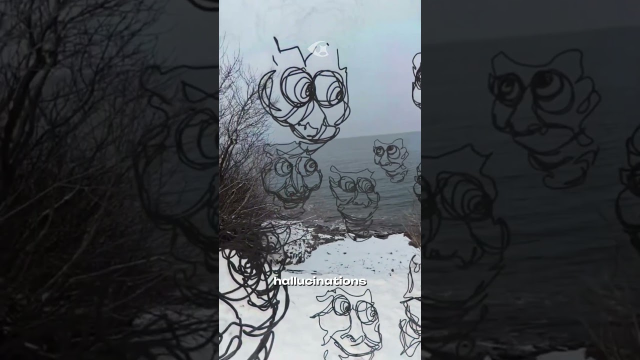 Schizophrenia simulation