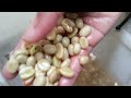 IKLAN KOMERSIAL KOPI TORAJA