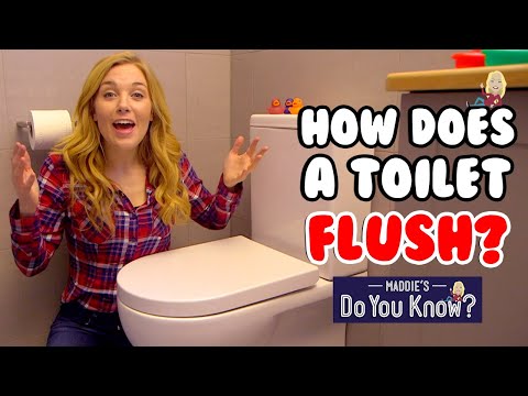 How does a Toilet Flush? 🚽 Maddie's Do You Know? 👩