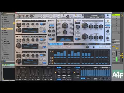 Initialize This #5: Dmitry Sches Thorn – Appetite For Production Podcast