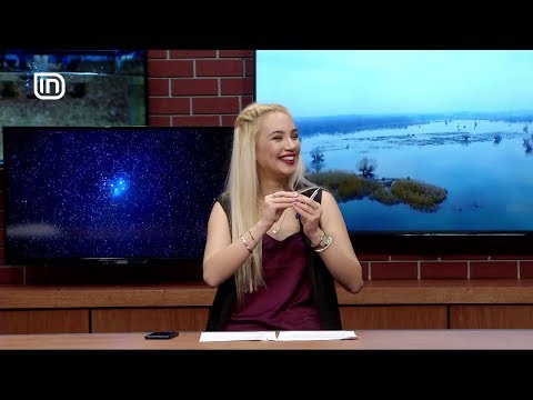 Kolaudim 02/02/2018 | IN TV Albania