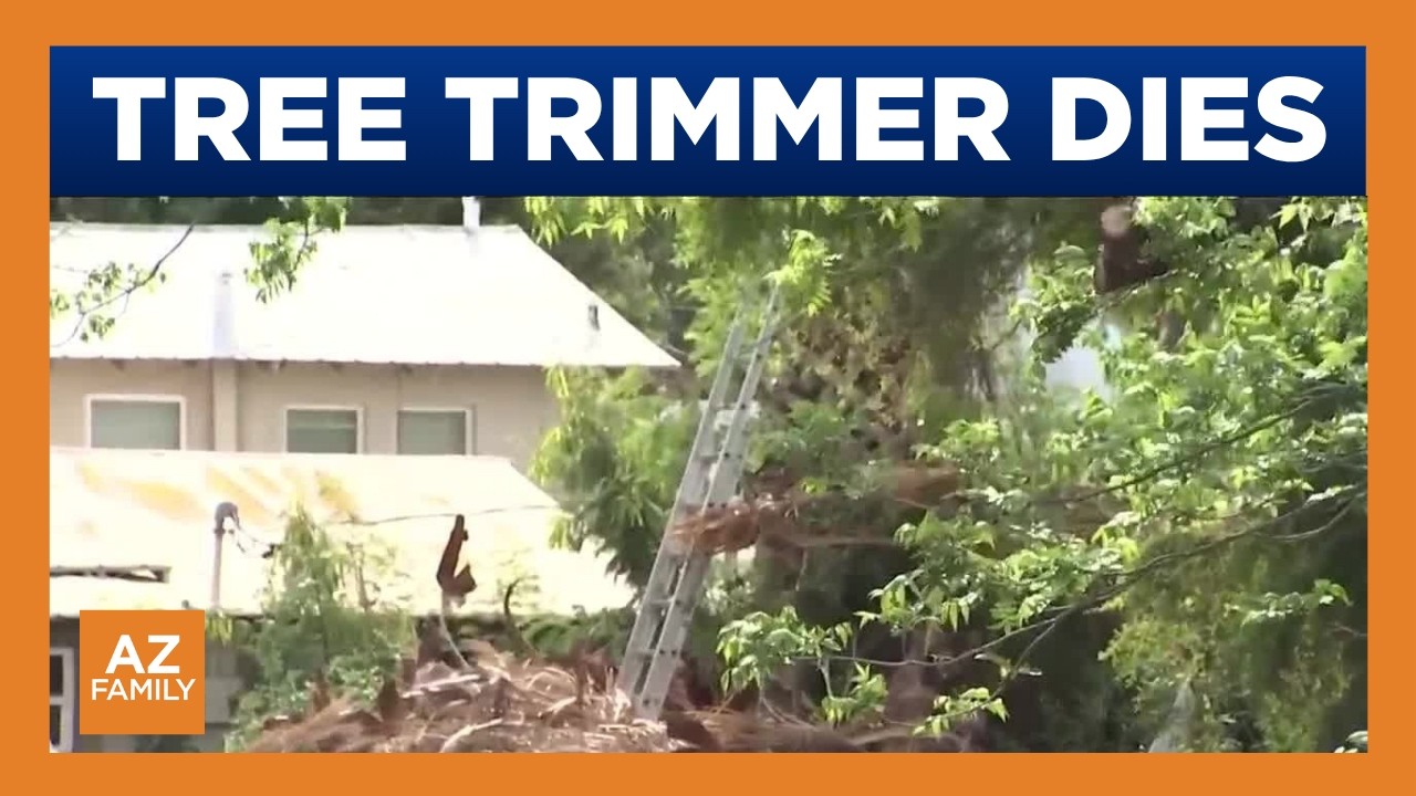 Police ID tree trimmer killed by palm tree debris in Tempe