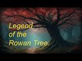The Mysterious Power of the Rowan Tree | Folklore & Spiritual Meaning.